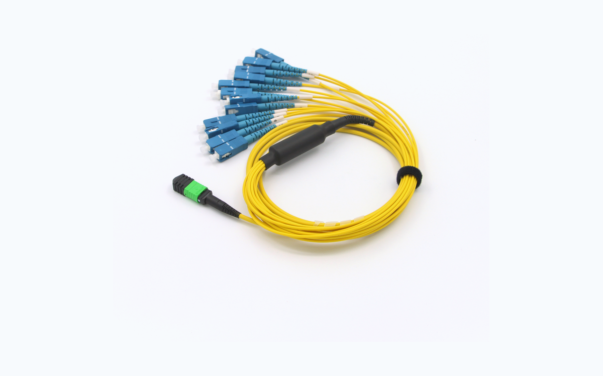 MPO Trunk Cables